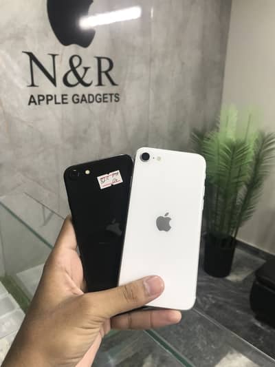 iPhone Se 2020  | iphone | 64GB PTA Approved