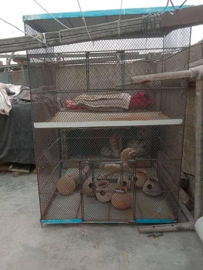 best quality cage available reasonable price contact 03123543634