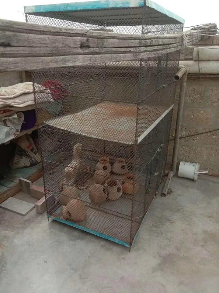 best quality cage available reasonable price contact 03123543634 — photo 2