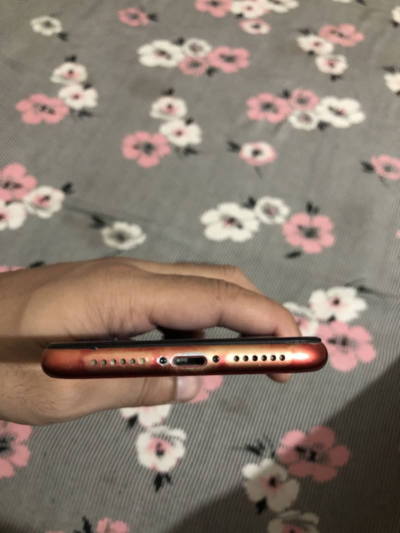 Apple iPhone 11 4