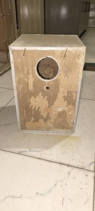 Big Cocktail Bird Boxes for Sale