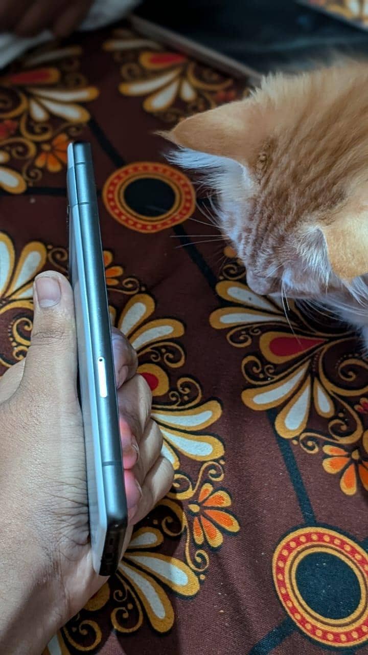 Google Pixel 7a 1