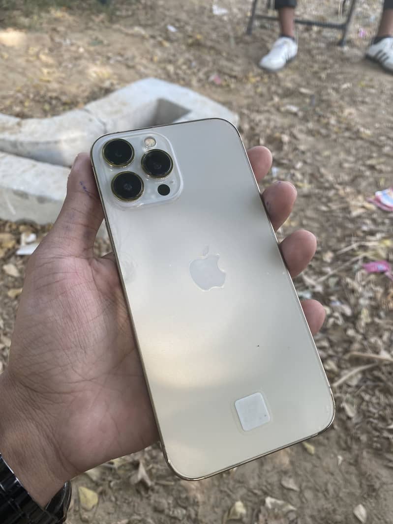 Apple iPhone 13 Pro Max 1