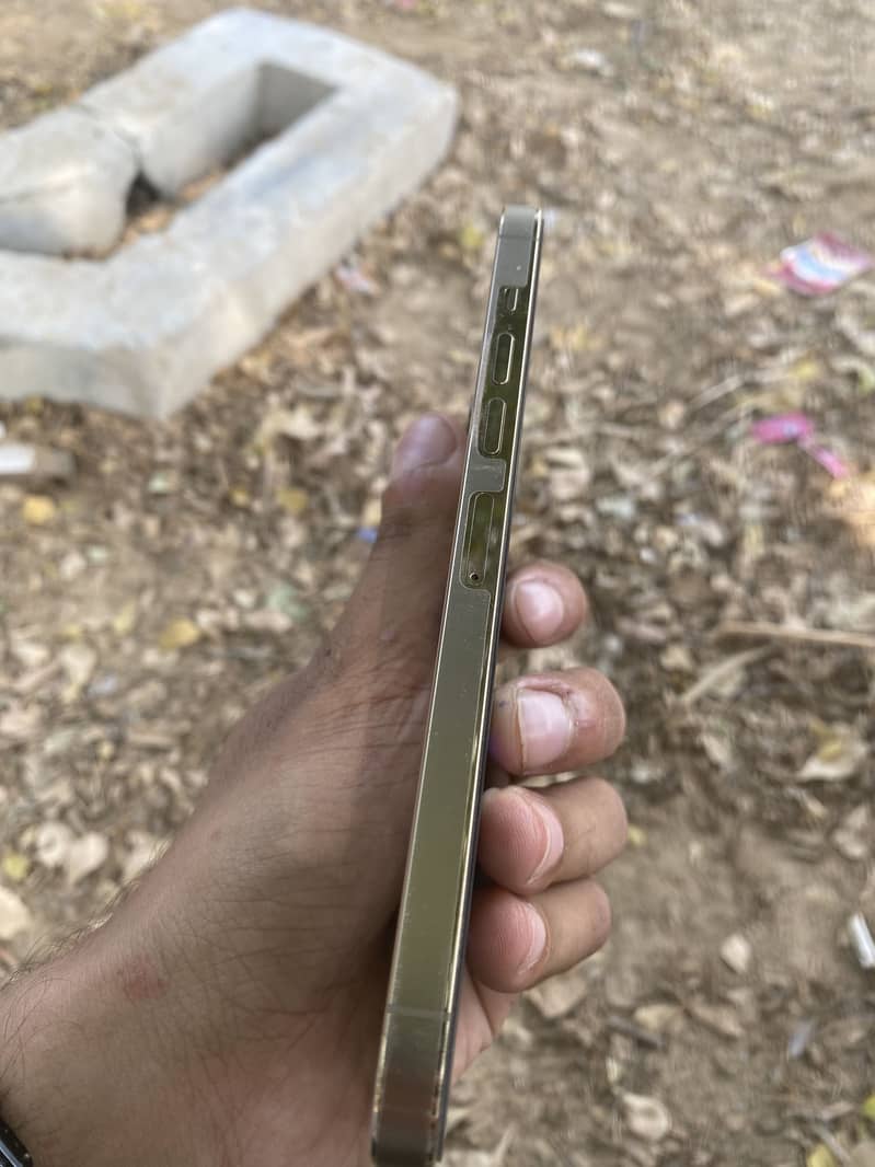 Apple iPhone 13 Pro Max 2