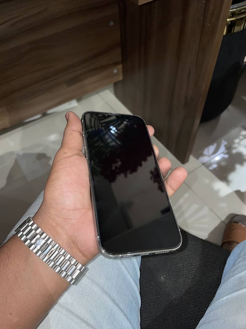 Apple iPhone 13 Pro Max 1