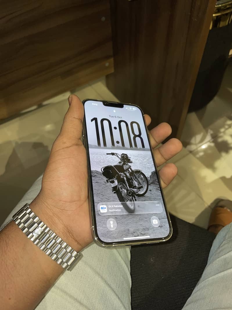 Apple iPhone 13 Pro Max 2