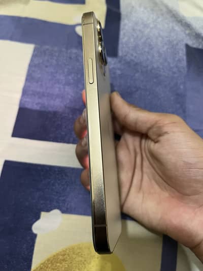 Apple iPhone 13 Pro Max factory
