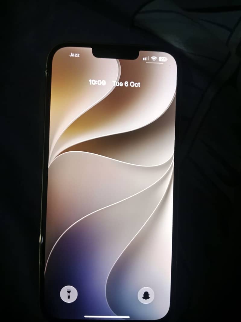 Apple iPhone 13 Pro Max 1