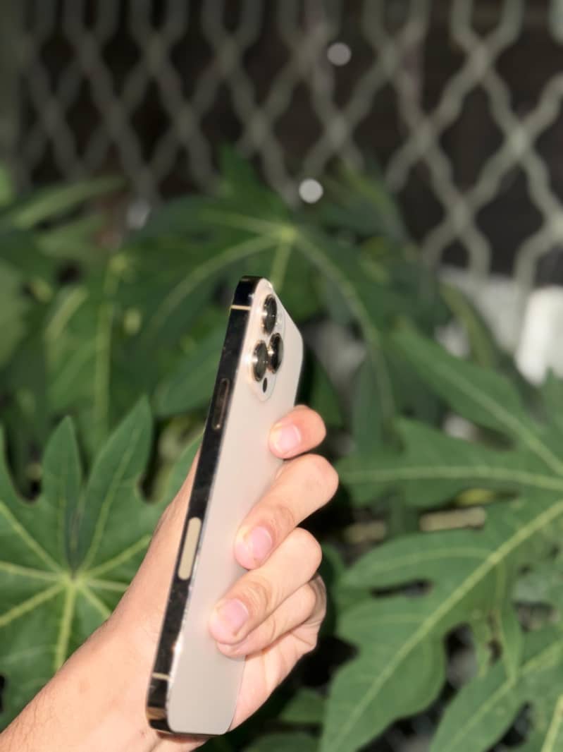 Apple iPhone 13 Pro Max jv 1