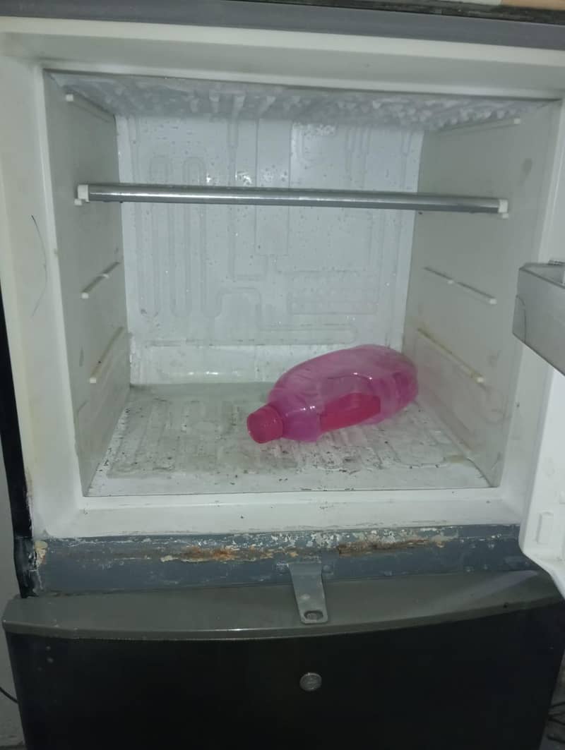 Fridge 1