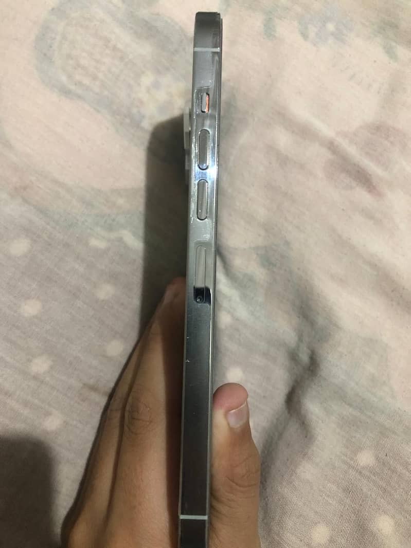 Apple iPhone 13 Pro Max 3