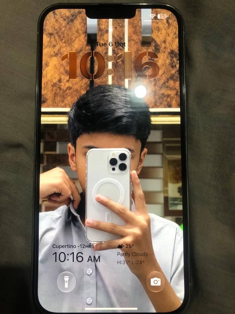Apple iPhone 13 Pro Max 4