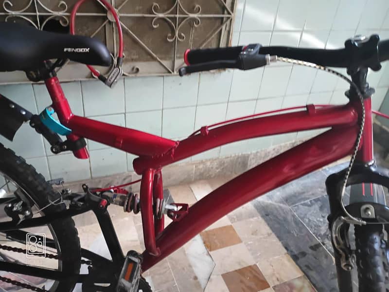 bicycle 2