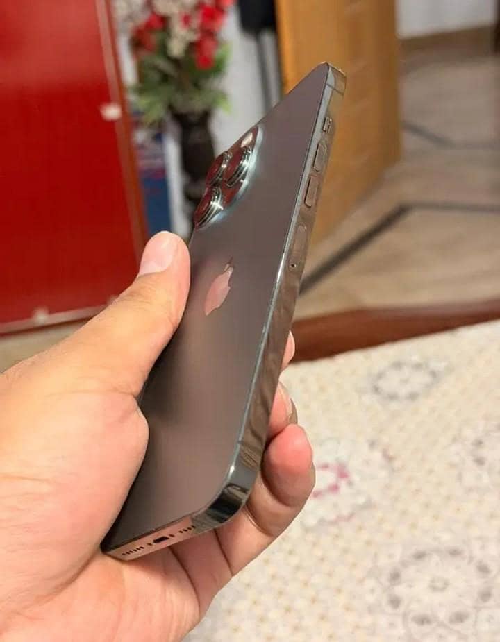 Apple iPhone 13 Pro Max 2