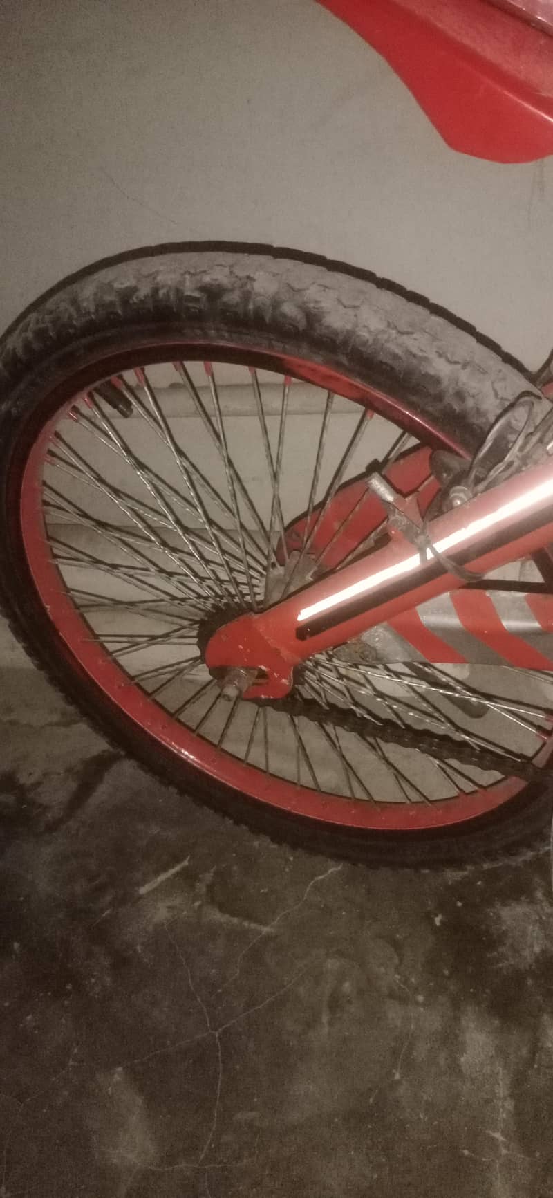cycle 1