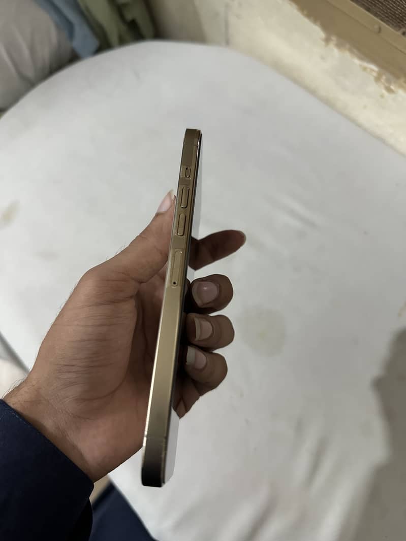 Apple iPhone 13 Pro Max 1