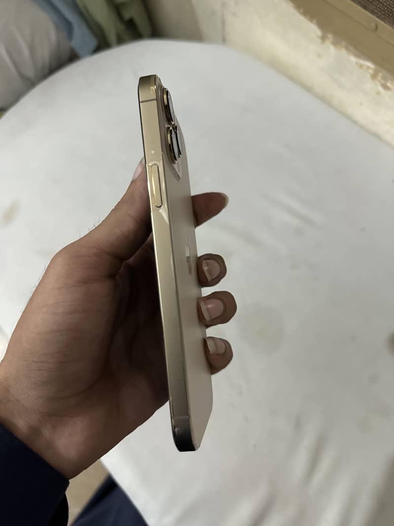 Apple iPhone 13 Pro Max 2