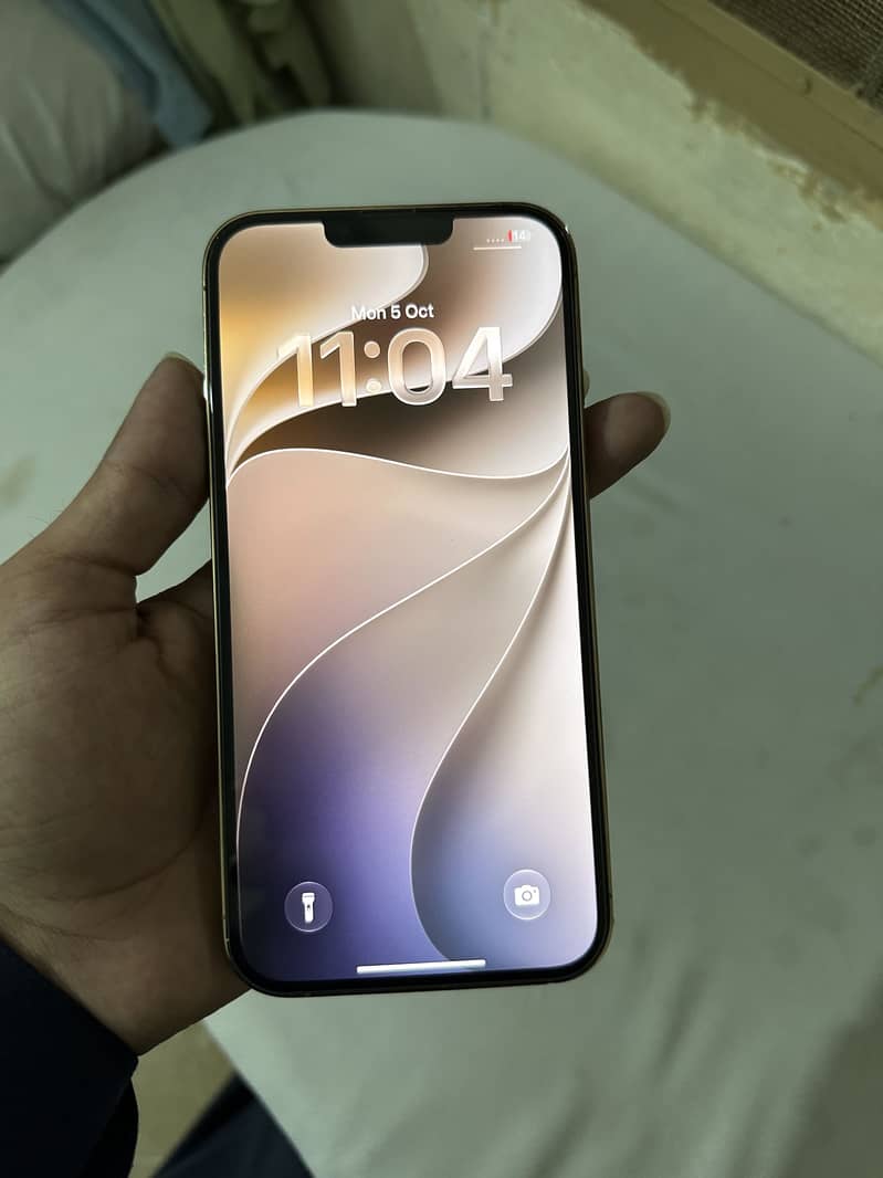 Apple iPhone 13 Pro Max 3