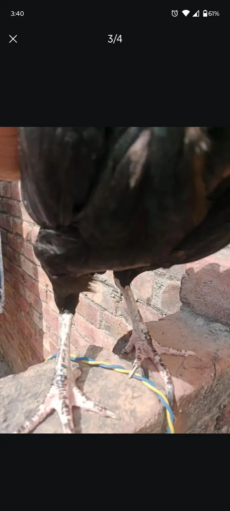 Ghr ki pathi ha nook thori si toti hui ha — photo 2