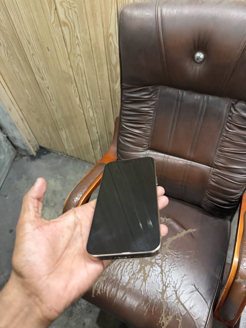 Apple iPhone 16 Pro Max 2