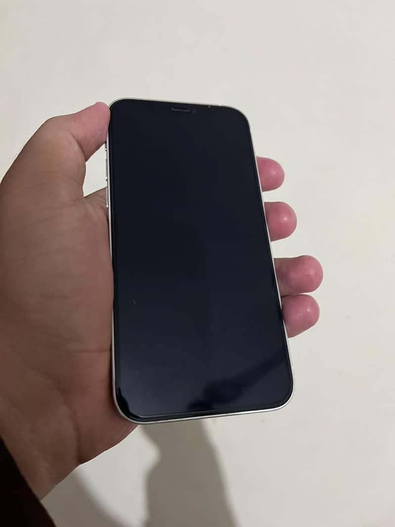 Apple iPhone 12 1
