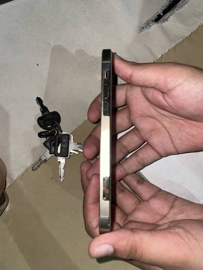 Apple iPhone 12 Pro