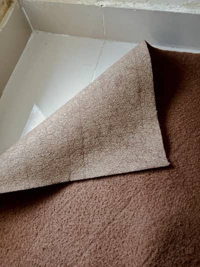 10×10 ft Premium Brown Room Carpet – Used Condition