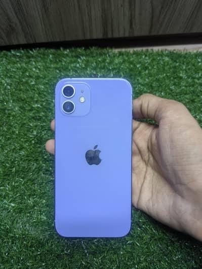 Apple iPhone 12