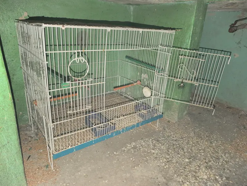 Birds Cages In 10/10 Condition