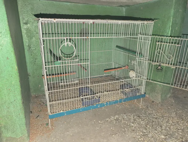 Birds Cages In 10/10 Condition — photo 2