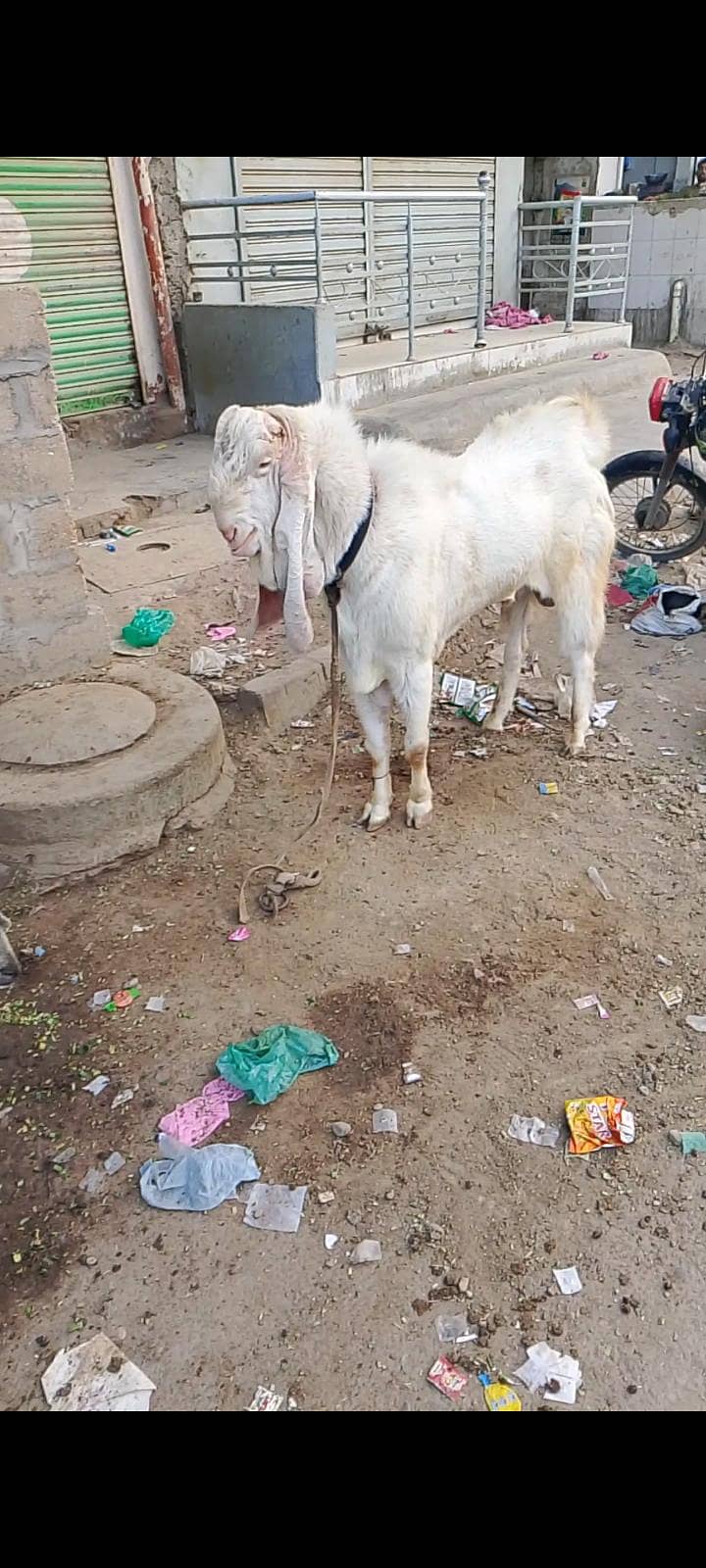 for sell 0