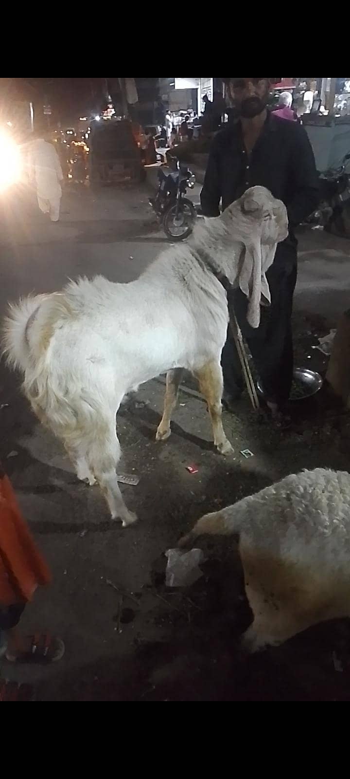 for sell 1