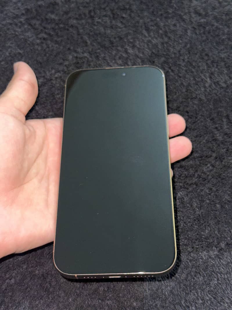 Apple iPhone 16 Pro Max 1