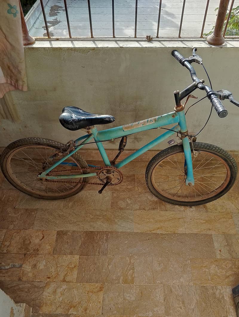 Bicycle 1