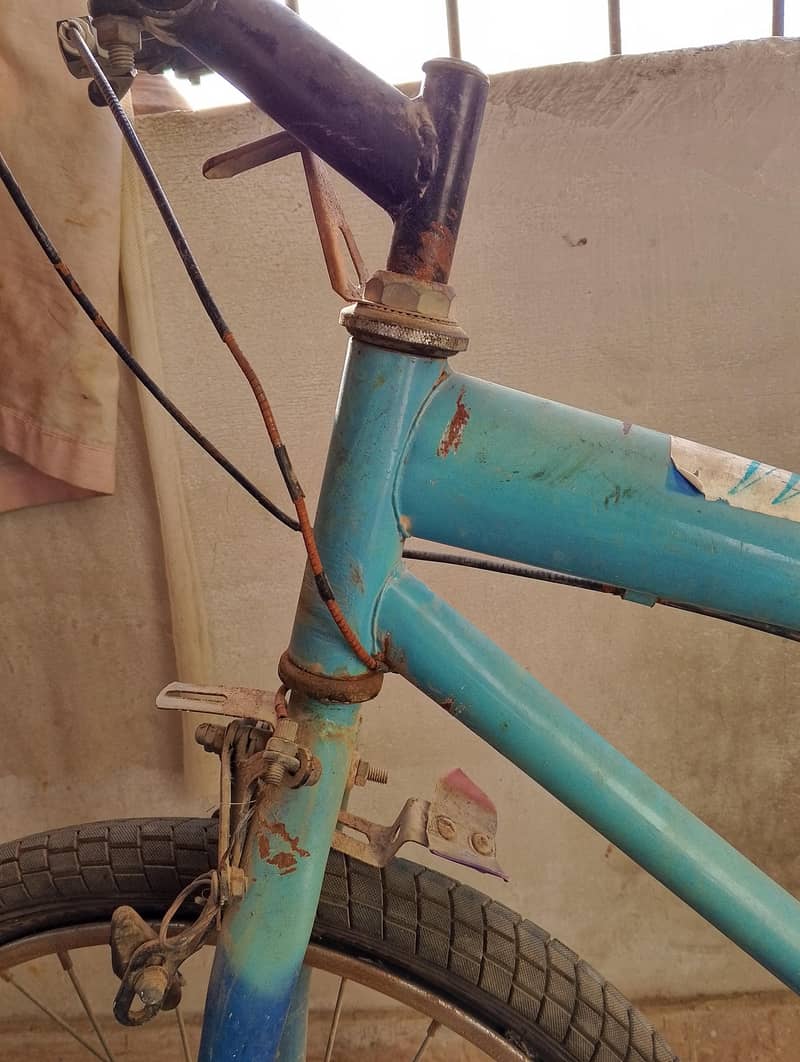 Bicycle 5