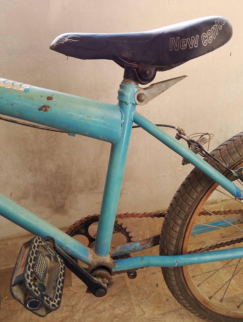 Bicycle 6