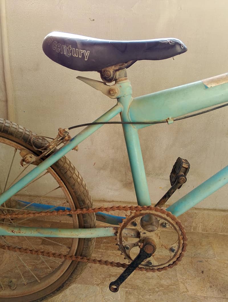 Bicycle 11