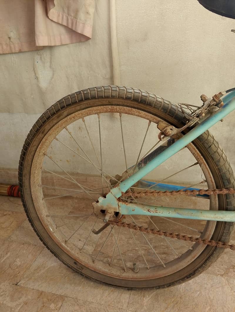 Bicycle 12