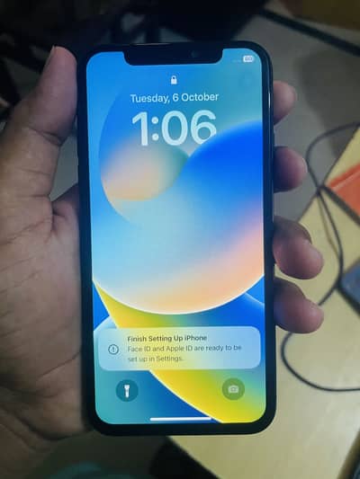 iPhone X 256GB
