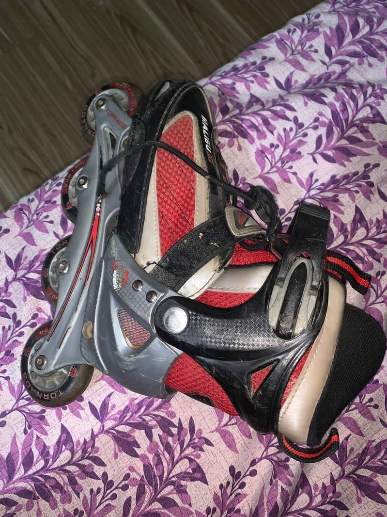 Skates 1