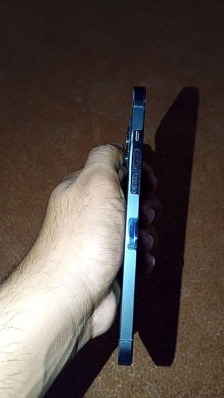Apple iPhone 12 Pro Max 2