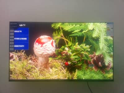 urgent sale 40 inches multynet iq50