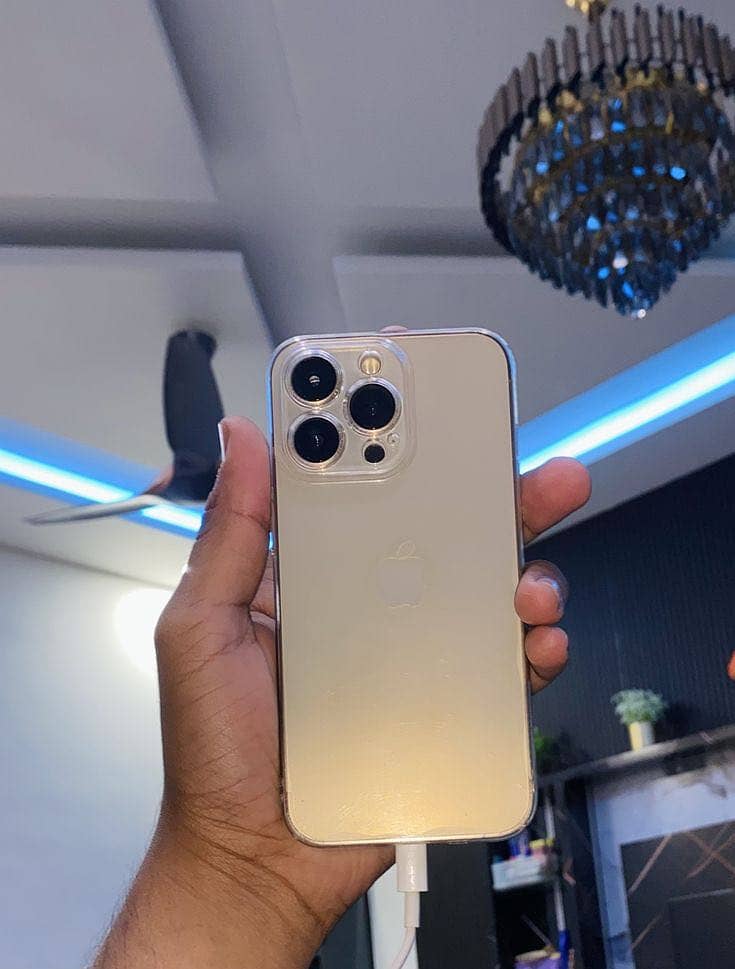 Apple iPhone 13 Pro Max 2