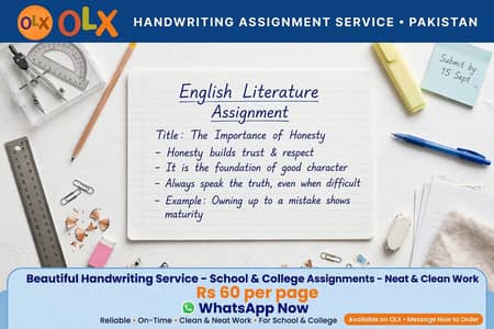 Beautiful Handwriting Work For School / College Projects