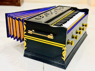 brand new camera below harmonium