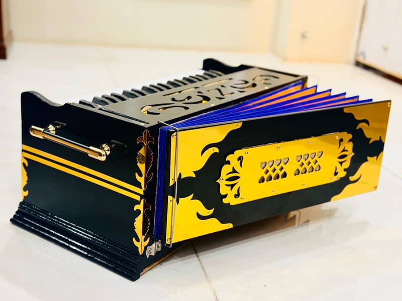 brand new camera below harmonium 1