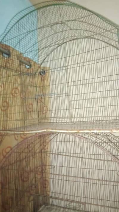 birds cage
