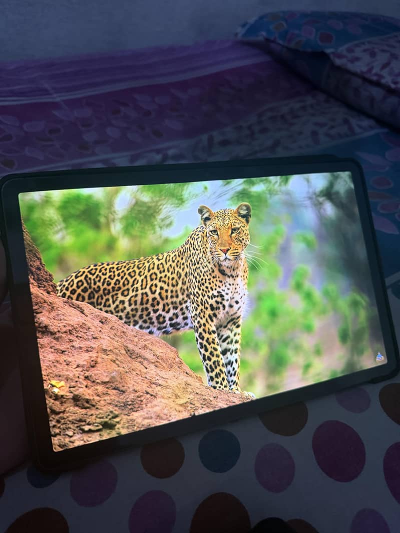 Galaxy Tab S9 2