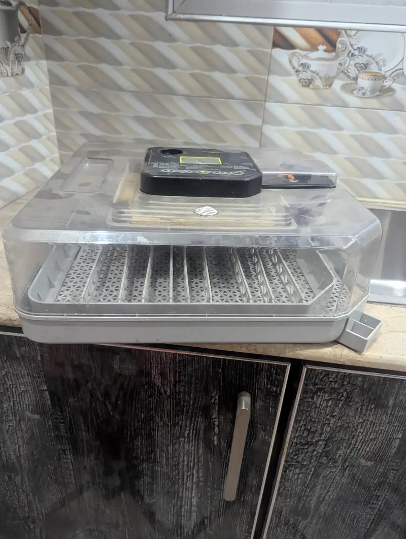 WONEGG 48-Egg Incubator — photo 2
