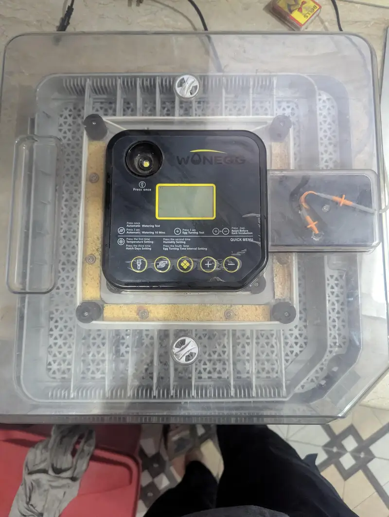 WONEGG 48-Egg Incubator — photo 3
